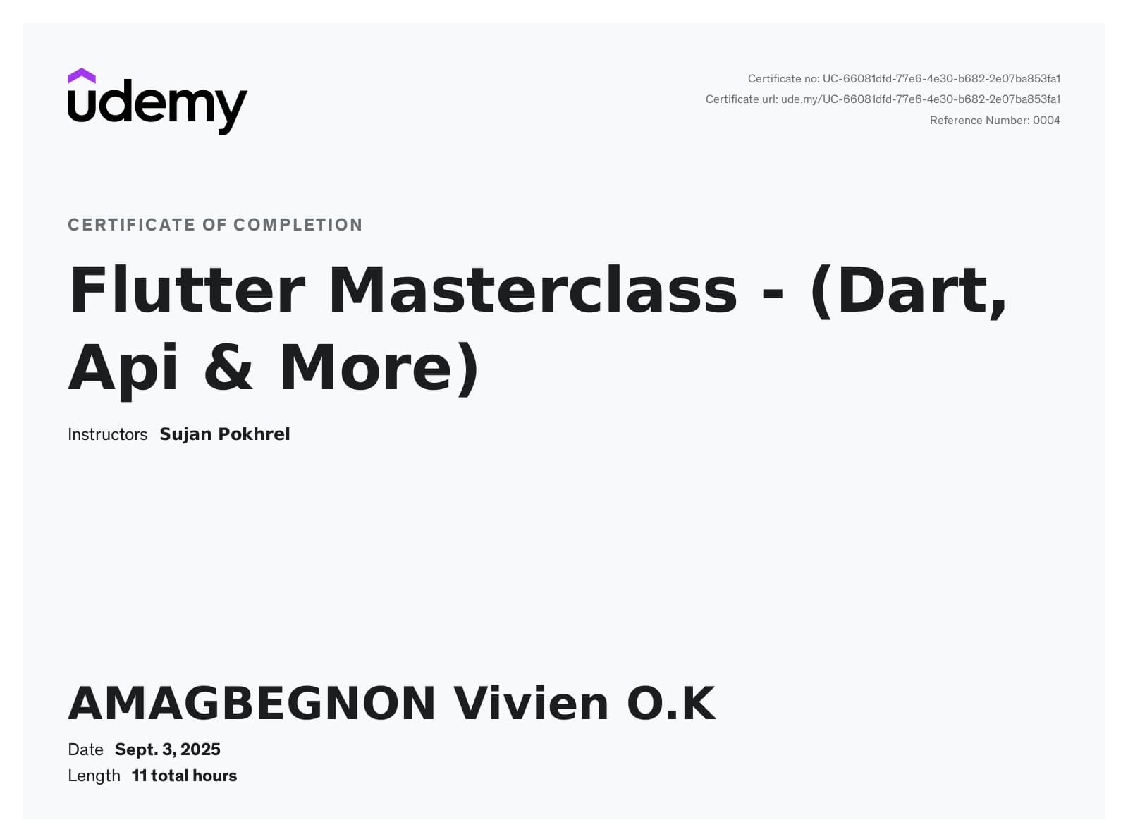 Certificat Flutter Masterclass — Dart, API & More